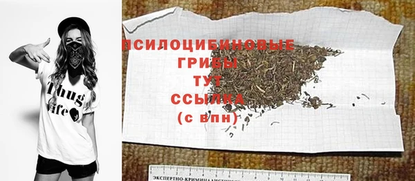 ешки Белокуриха